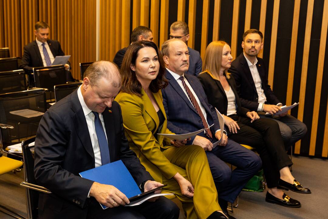 Demokratų sąjungos „Vardan Lietuvos“ valdybos posėdis