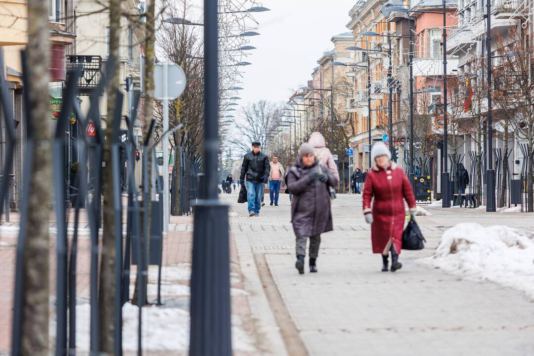 Šiauliai ruošiasi rinkimams