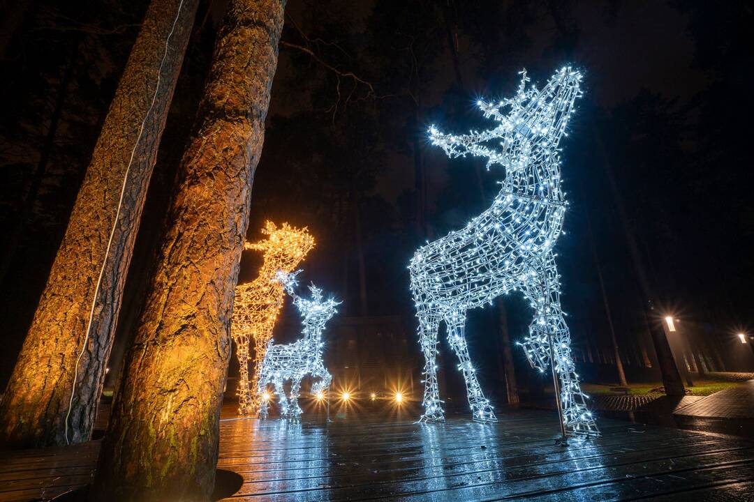 Šventiškai suspindo Druskininkai