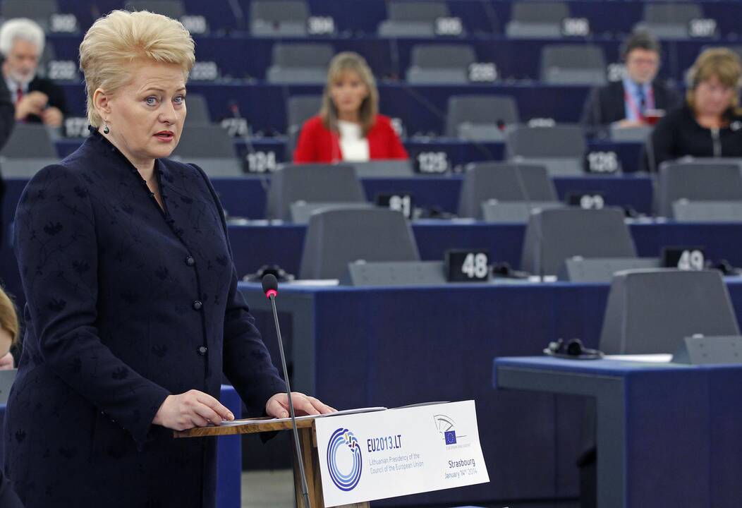 D. Grybauskaitė apkaltino V. Tomaševskį siekiant diskredituoti Lietuvą