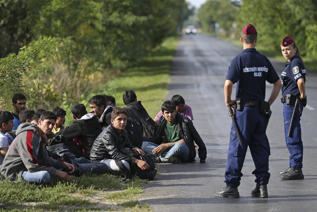 Suskaičiavo, kiek Lietuvai kainuos pabėgėlių perkėlimas