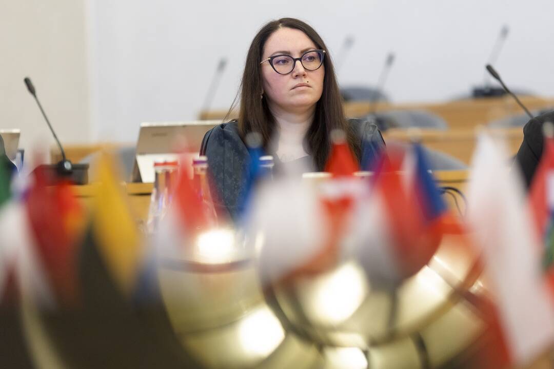 Premjerė susitiko su žiniasklaidos asociacijos atstovais