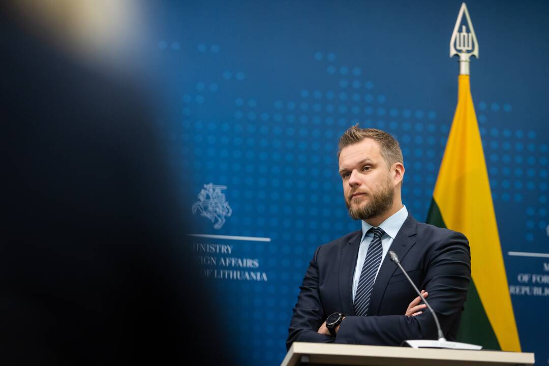 Lietuvoje vieši Švedijos užsienio reikalų ministras