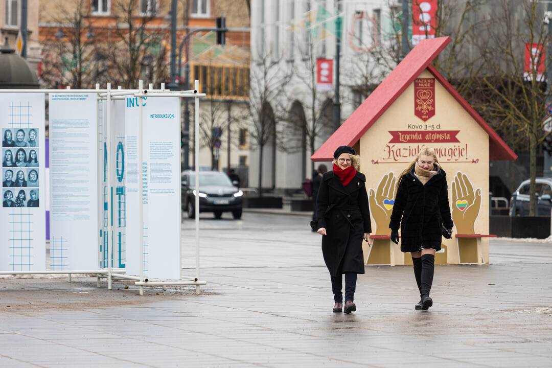 Tęsiasi išankstinis balsavimas savivaldos rinkimuose