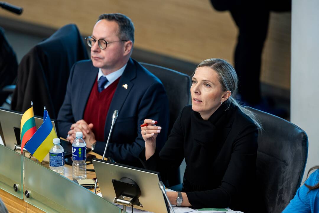 Seimas svarstė klausimą dėl A. Stončaičio atleidimo