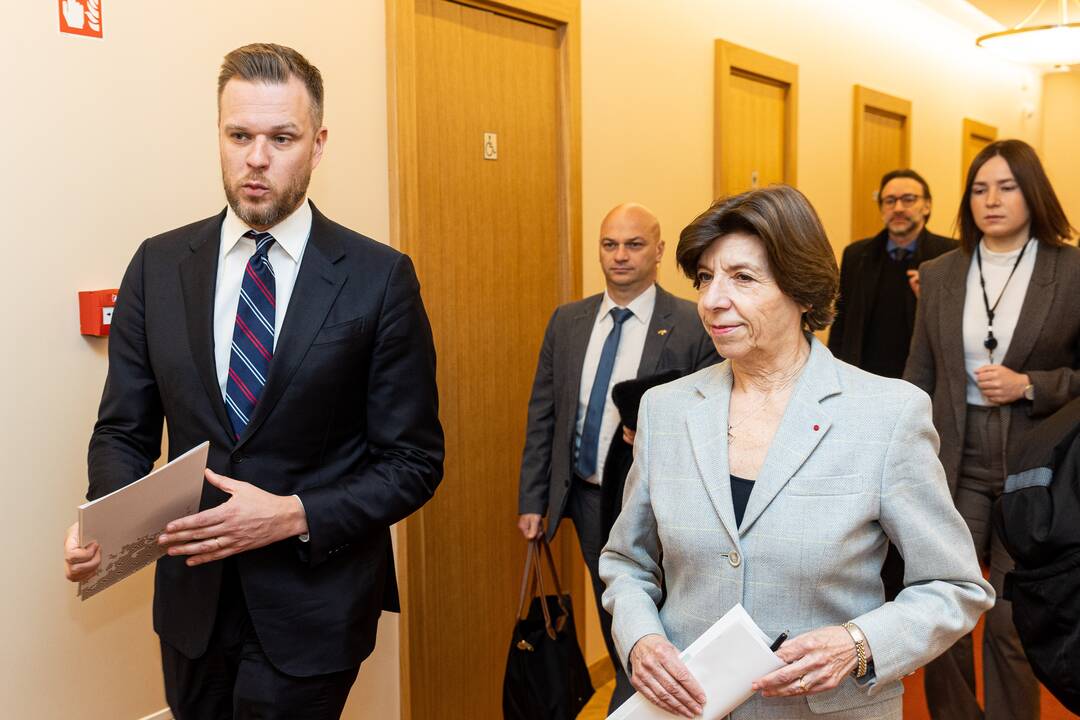 G. Landsbergio ir Prancūzijos ministrės spaudos konferencija