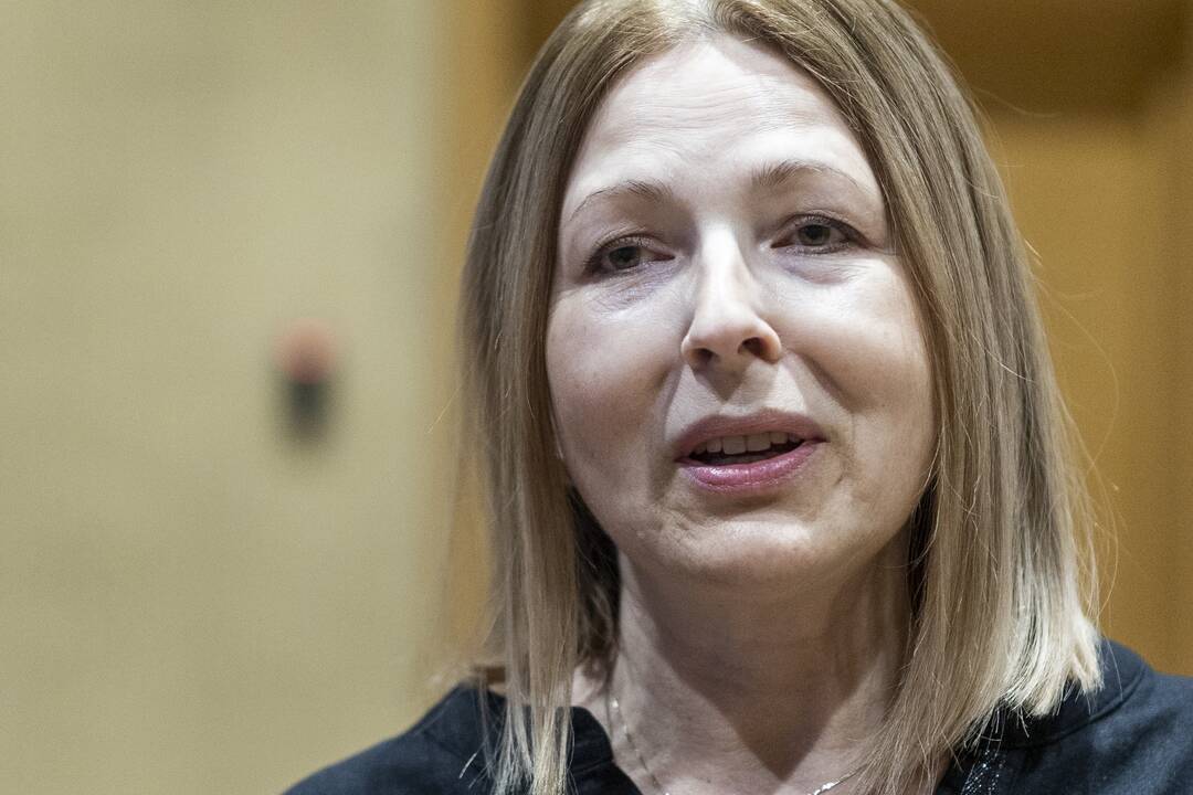 Seimo pirmininkė susitiko su N. Pinchuk