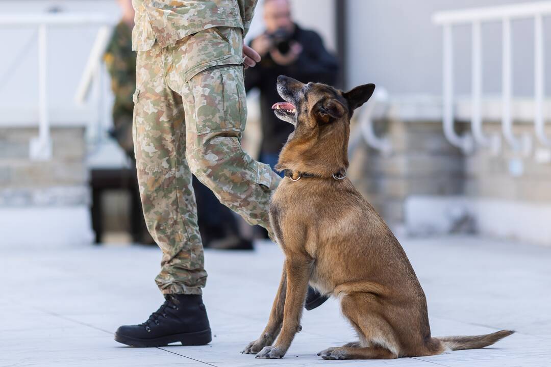 Renginys „Šuns diena Lietuvos kariuomenėje“
