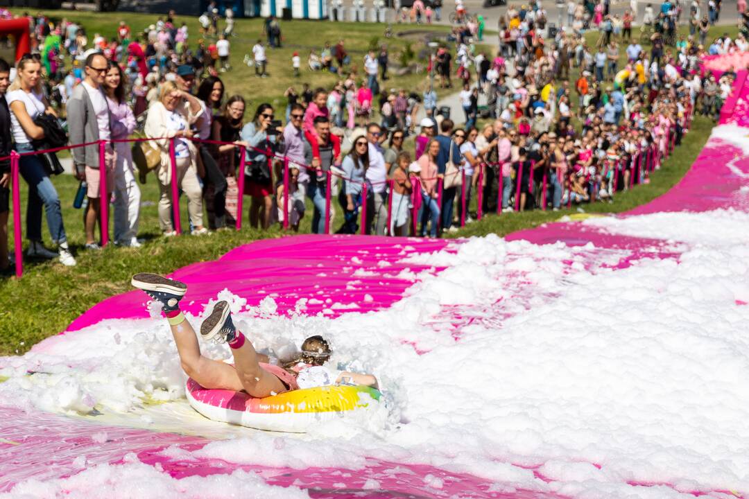 Šaltibarščių festivalis Vilniuje