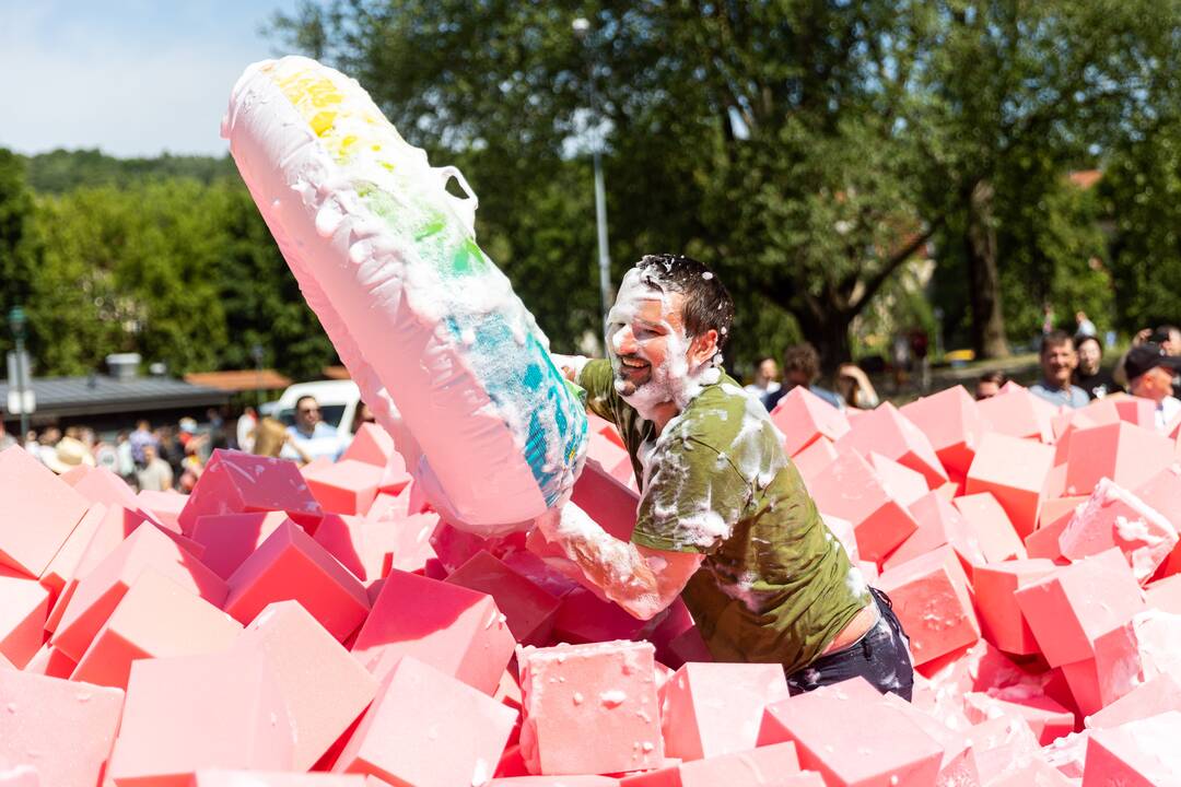 Šaltibarščių festivalis Vilniuje