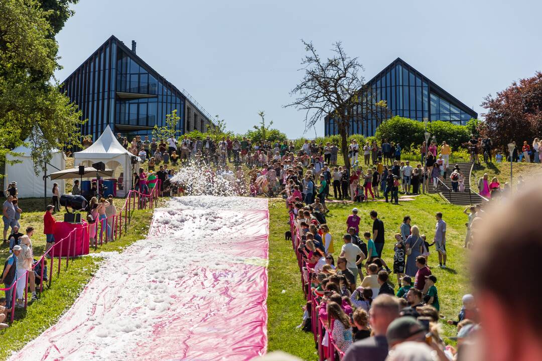 Šaltibarščių festivalis Vilniuje