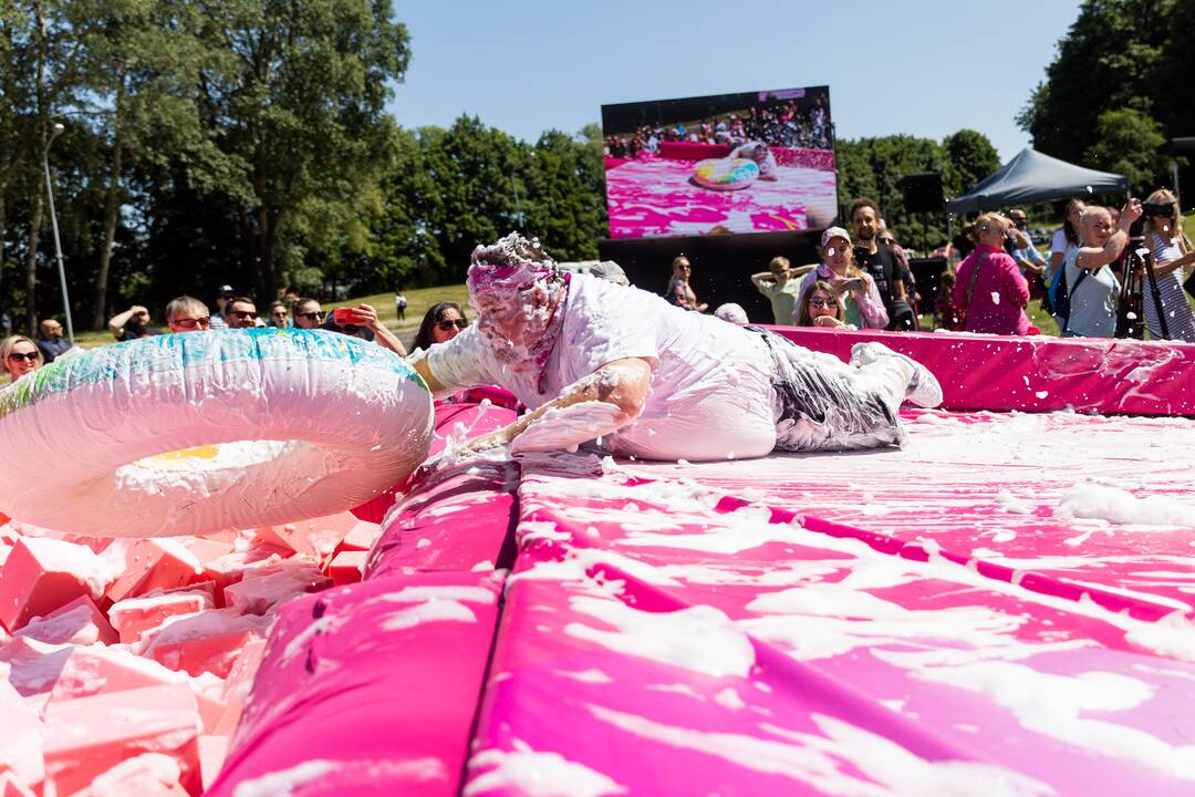 Šaltibarščių festivalis Vilniuje