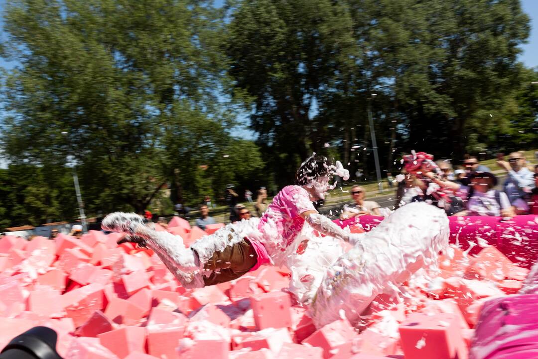 Šaltibarščių festivalis Vilniuje