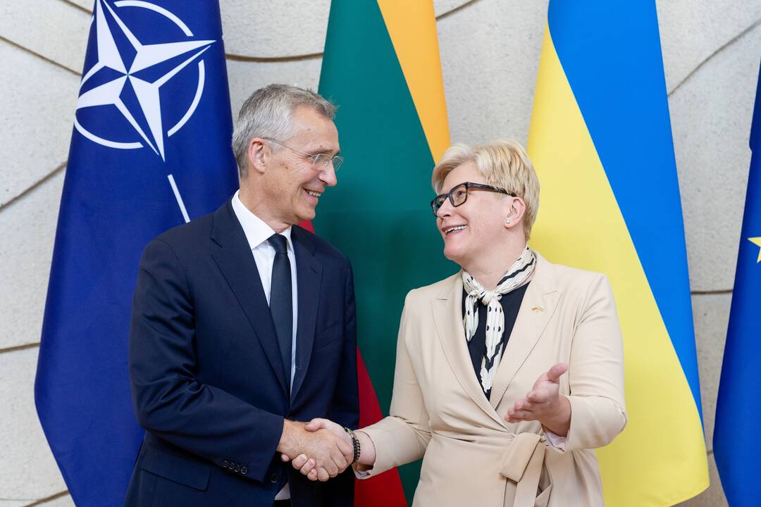 Premjerė susitiko su NATO generaliniu sekretoriumi