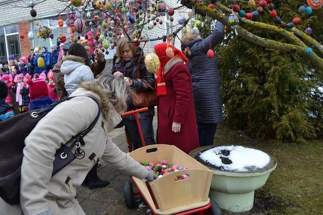 Šeduvoje pražydo rekordinis Velykų medis