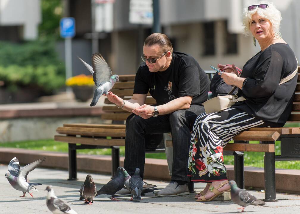 Gatvės muzikos diena Vilniuje
