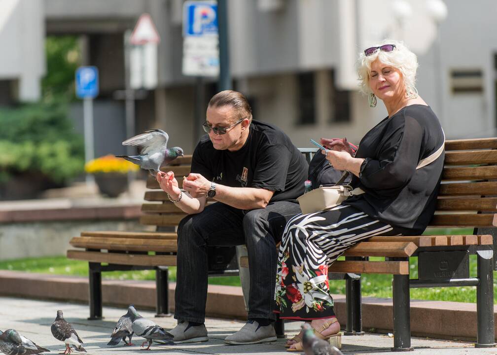 Gatvės muzikos diena Vilniuje