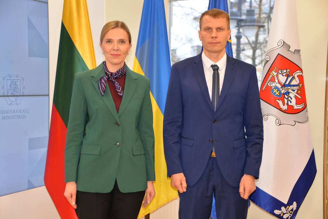 Įkurtai Viešojo valdymo agentūrai vadovaus A. Palekas