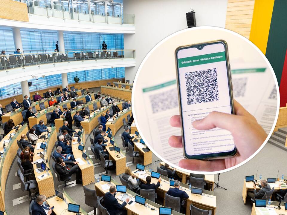 Premjerė: Seimas priimtų etišką sprendimą, jei įsivestų galimybių pasą parlamentarams