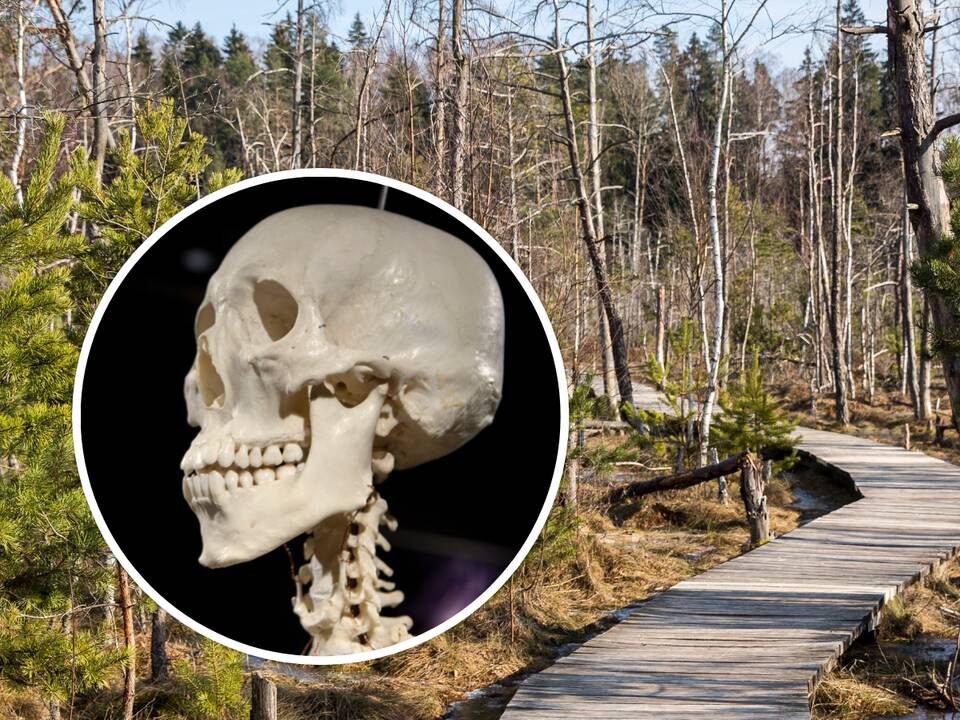 Anykščių rajone pelkėje – žmogaus skeletas