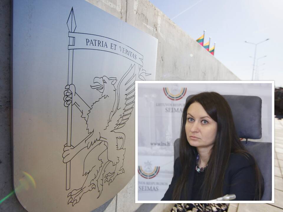 VSD atstovė spaudai E. Samoškaitė traukiasi iš pareigų