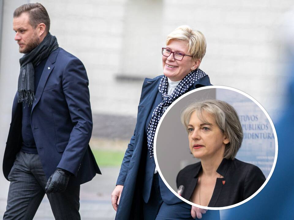 Premjerė: kai kuriuos interpeliacijos klausimus A. Skaisgirytė galėtų užsiduoti sau