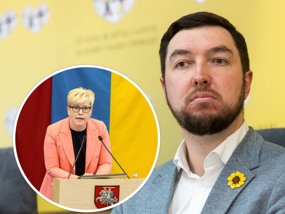 V. Mitalas: premjerė I. Šimonytė turėtų likti poste ir tęsti darbus