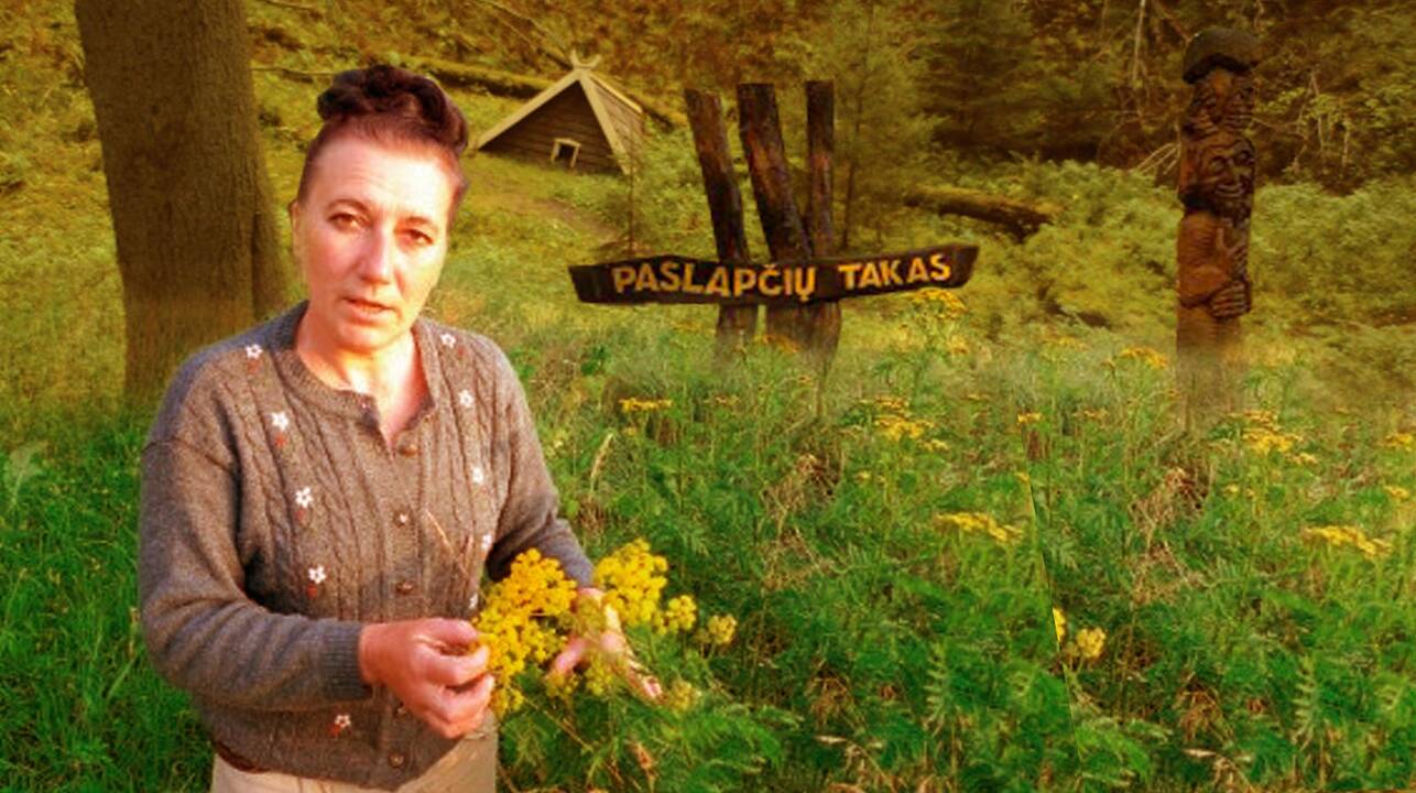 Antrame susitikime „Gamta po stogu“ – viskas apie žolynus