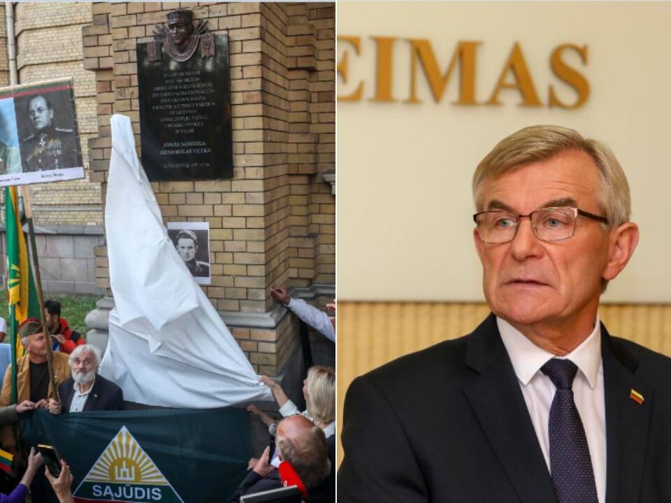 V. Pranckietis apie lentą J. Noreikai: tai neturėtų būti įgyvendinama šturmu