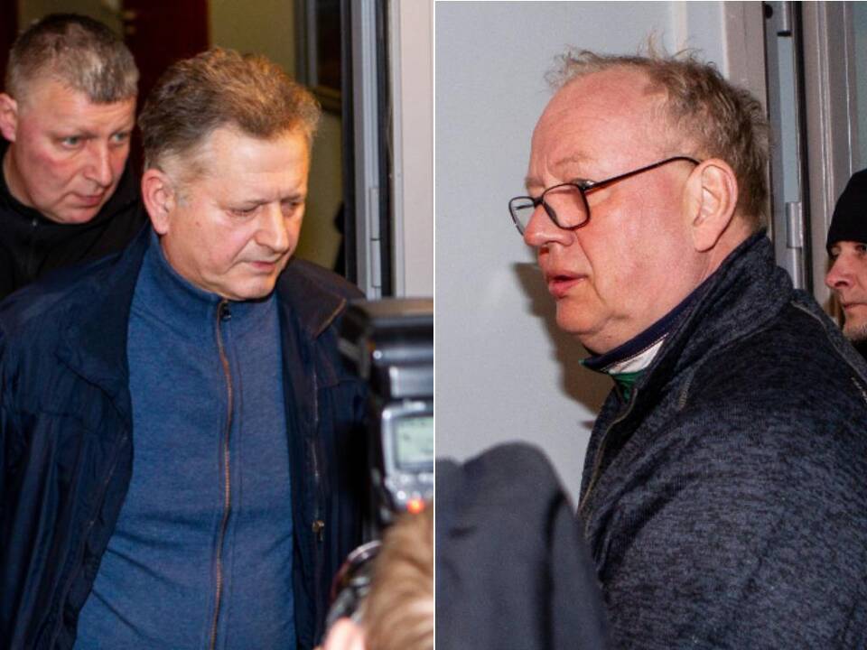 Valdimaras Bavėjanas ir Egidijus Laužikas