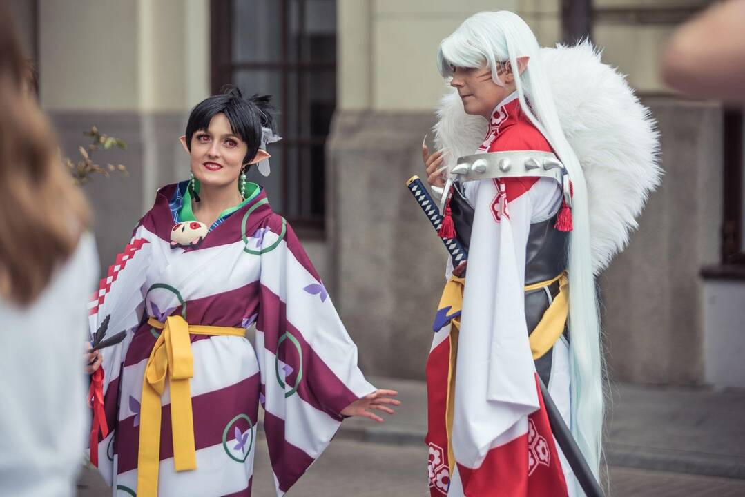 Mozaika: festivalio žiūrovai išvys autentiškos japoniškos kultūros koncentratą.