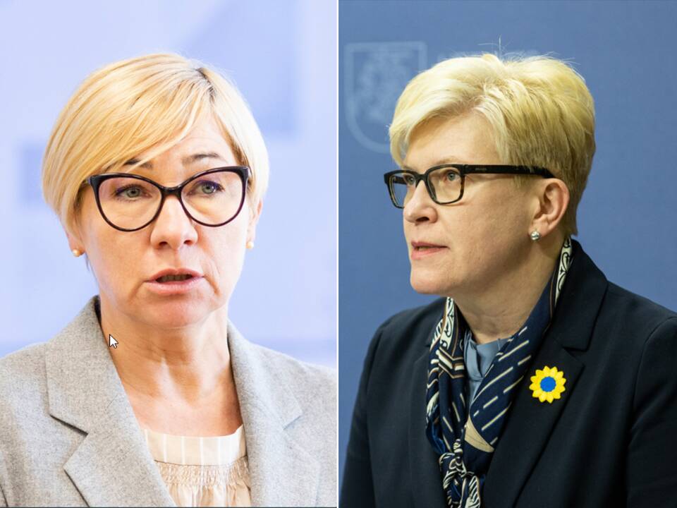 Premjerė patenkino atsistatydinimo prašymą: J. Šiugždinienė traukiasi
