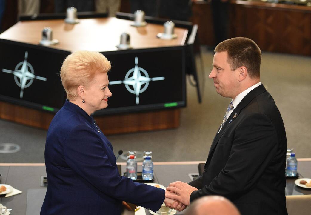 Prezidentė dalyvauja NATO vadovų susitikime