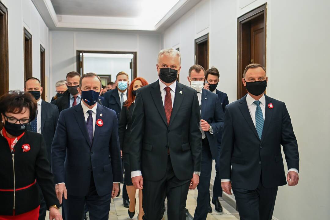 Gegužės 3-iosios Konstitucijos metinių minėjimas