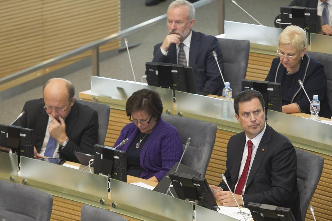Politologė: „darbiečių“ ir „tvarkiečių“ kritimas – ne į naudą Tėvynės sąjungai