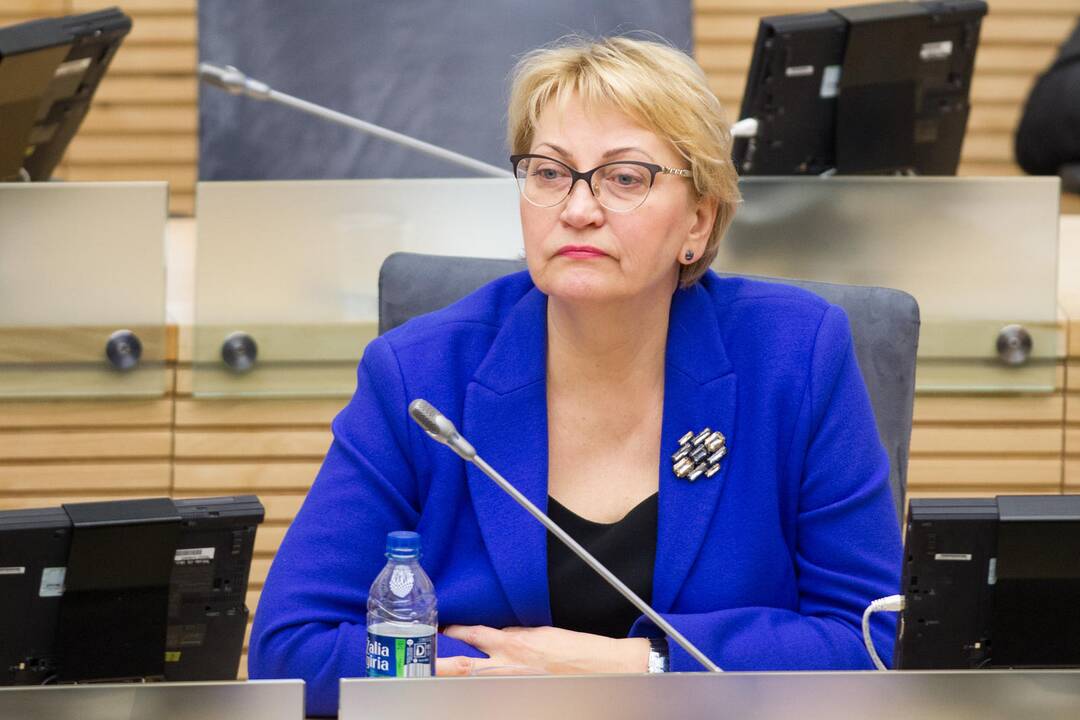 R. Budbergytė: „valstiečiai“ tik bando imituoti, kad dirbsime darniau