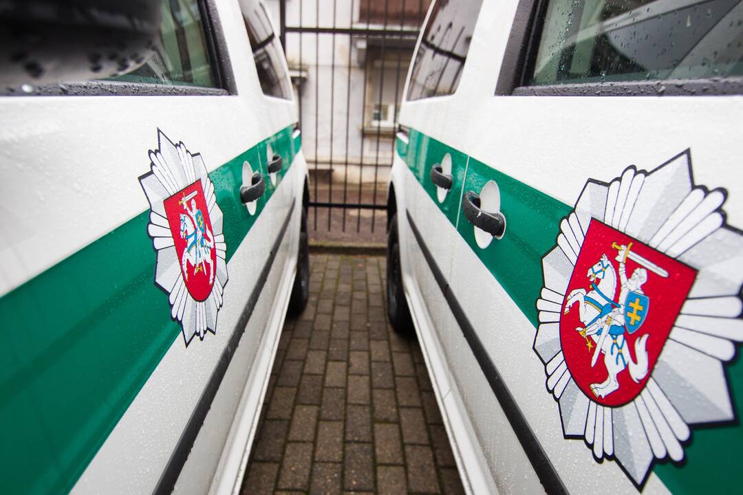 Tarnybinis policijos automobilis partrenkė stirną, nukentėjo pareigūnė