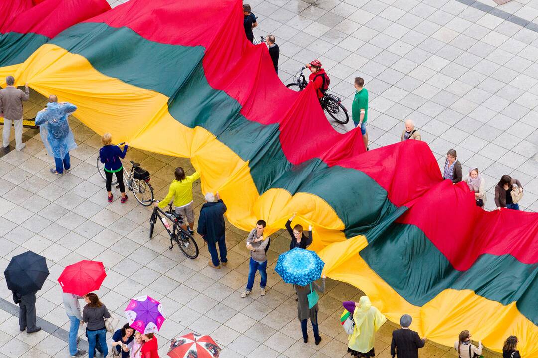 Tyrimas: kokia demokratija Lietuvoje šiandien ir kokia bus po 10 metų?