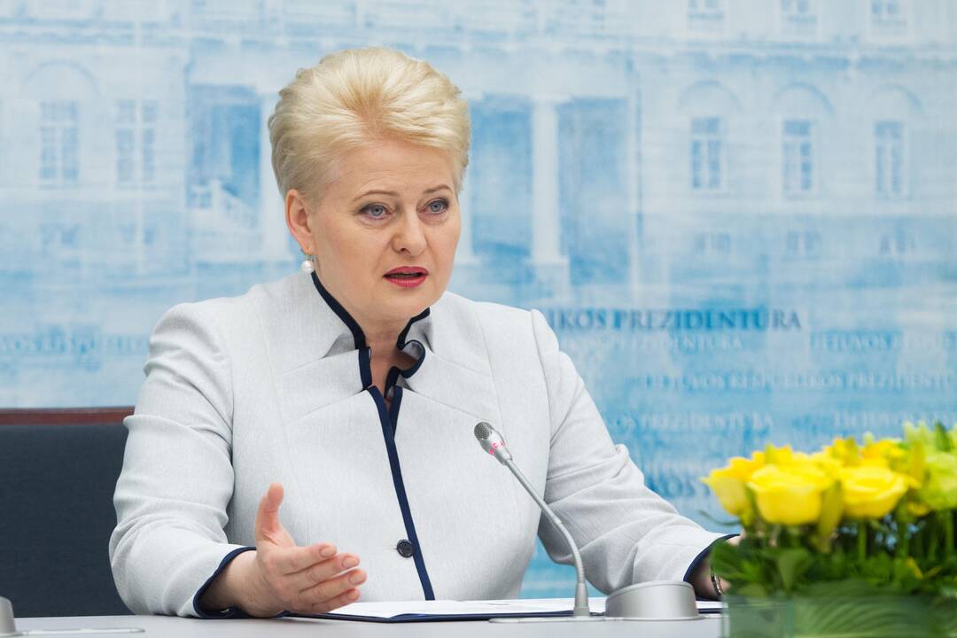 D. Grybauskaitė priekaištavo finansų ministrui dėl VMI darbo