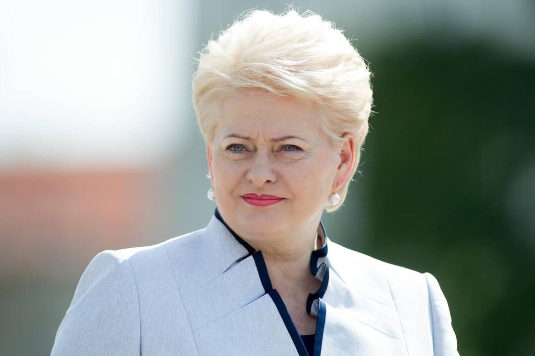 D. Grybauskaitė: Graikija turi gyventi pagal išgales