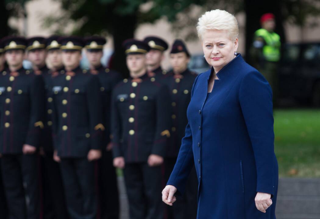 D. Grybauskaitė apie Rusijos veto dėl MH17: šiai šaliai yra ką slėpti