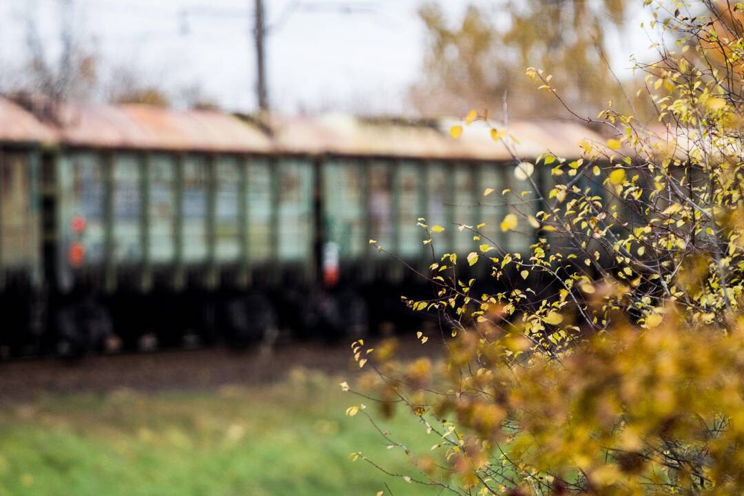 „Lietuvos geležinkeliai“ daugiau krovinių veža vietiniais maršrutais