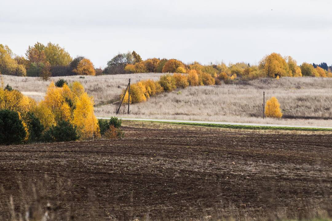 Žemės mokesčio dar nesumokėjo 30 proc. gyventojų ir įmonių