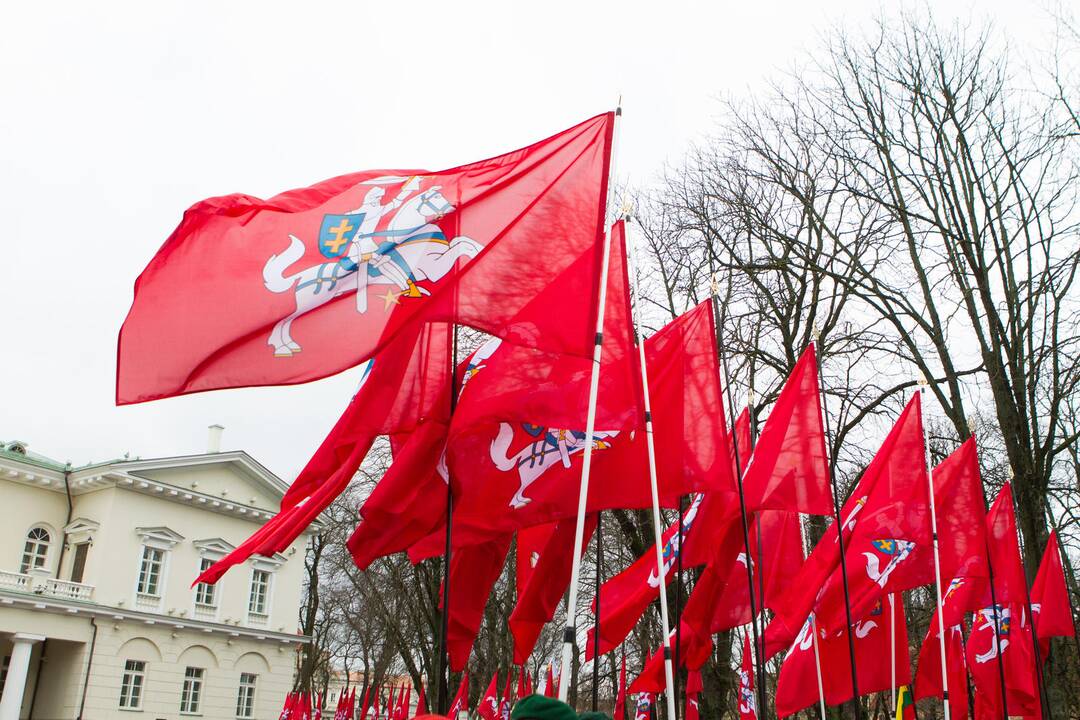 Vytis kartu su trispalve prie valstybės institucijų neplevėsuos?