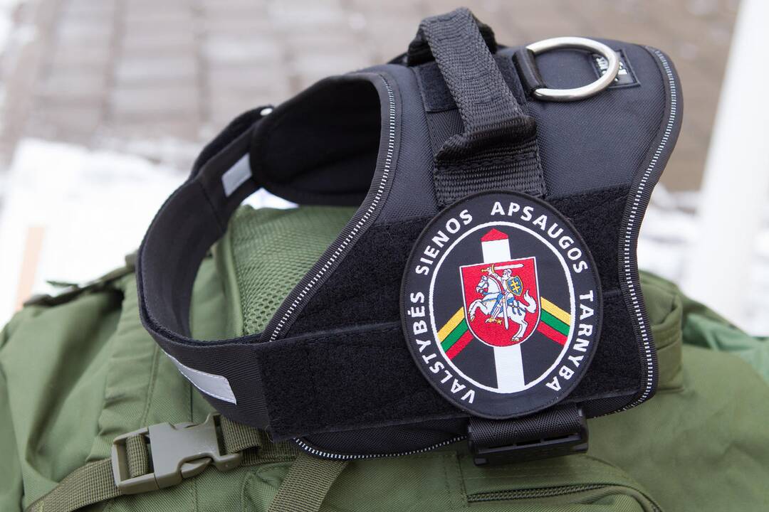Ramzio pamaina – belgų aviganis Marsas