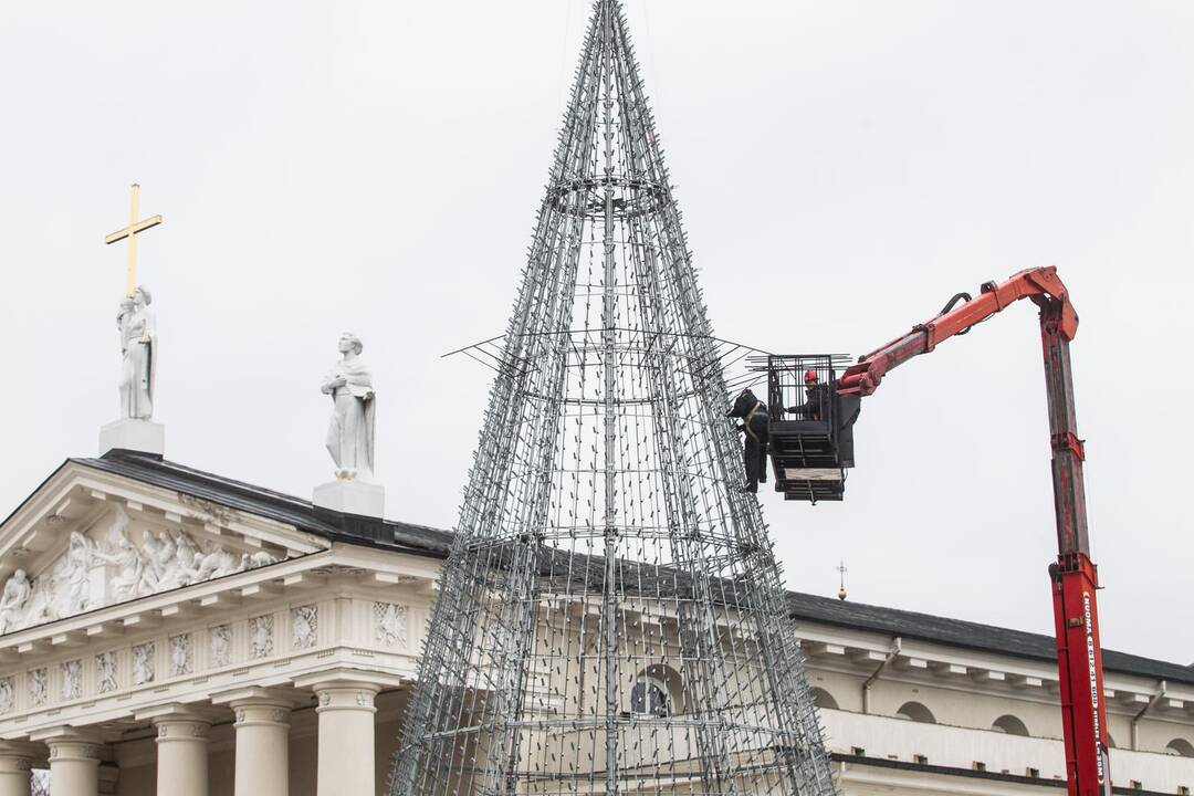 Katedros aikštėje ruošiama Kalėdų eglė