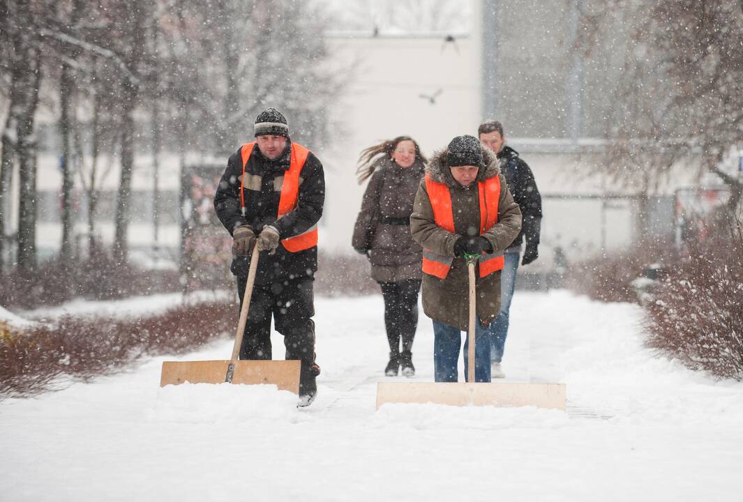 Vėjas į Lietuvą atneša pūgą