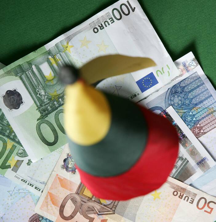 Paskelbtas VMI teikiamų paslaugų grafikas įvedant eurą