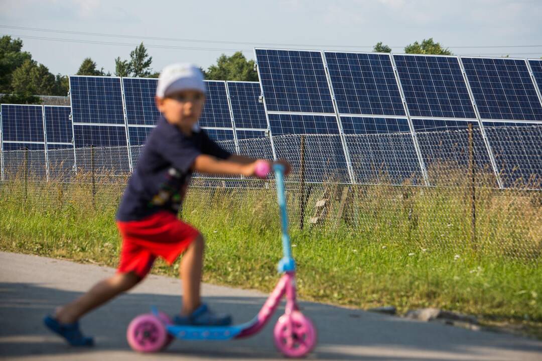 Pasaulis mini Saulės dieną