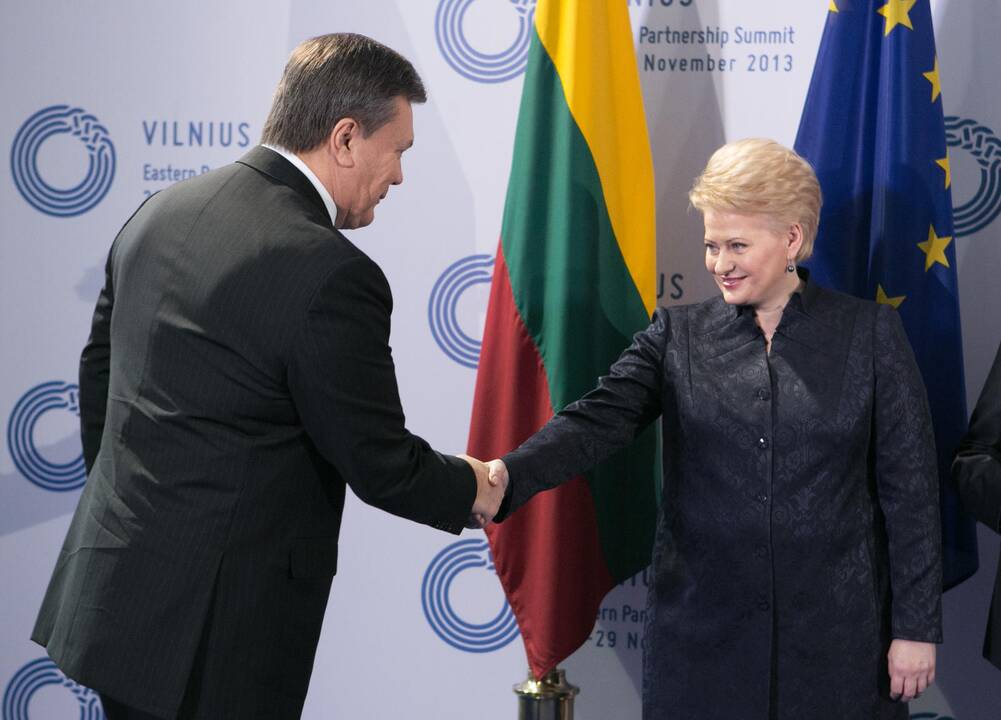 D. Grybauskaitė: Ukrainos vadovybė atsakinga už nepateisinamą jėgos panaudojimą